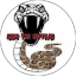 Review From Arga The Reptiler