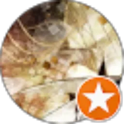 Review From Abay Maulana