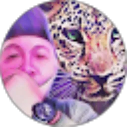 Review From Aris Prasetyo