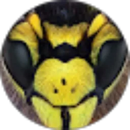 Review From Namseiradus TS