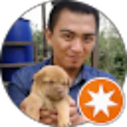 Review From Riki Wardana