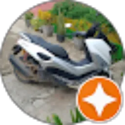 Review From Didi Suhardi