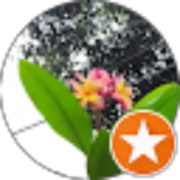 Review From Denny Ardi S