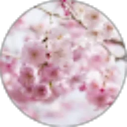 Review From Ike Safitri