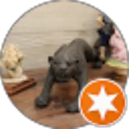 Review From Calvin Cokro