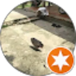 Review From HiroShima's Mommy