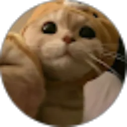 Review From Anez Cebret