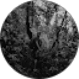 Review From Alfian Danis