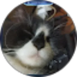 Review From tareq kemal