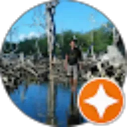 Review From arnold jozerizal