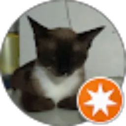 Review From Andri Susanto