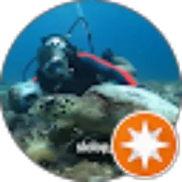 Review From Buharianto