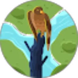 Review From shandy shandoro