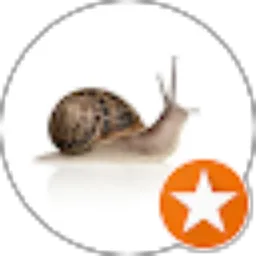 Review From Much Lisin