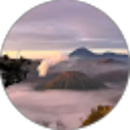 Review From Dahliani