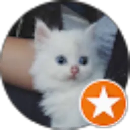 Review From Yonathan Priatna