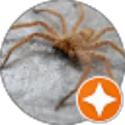 Review From budi thunggal