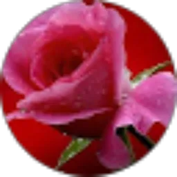 Review From cjdw aelah