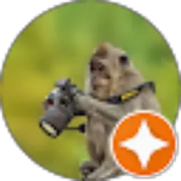 Review From Angga Nugraha