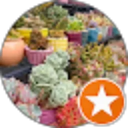 Review From Lulu Rusliana