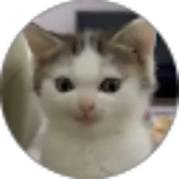 Review From Caramellatte