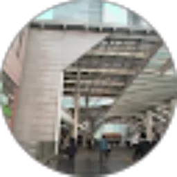 Review From Richpauz'