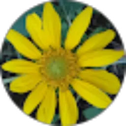 Review From Syully Ngangi