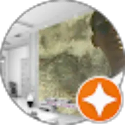 Review From Bagus Bagus