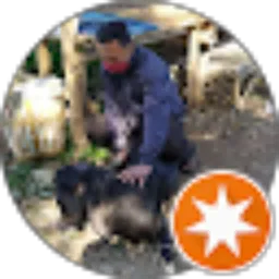 Review From Madya Adreas