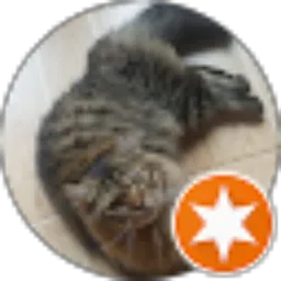 Review From Muhammad Roem