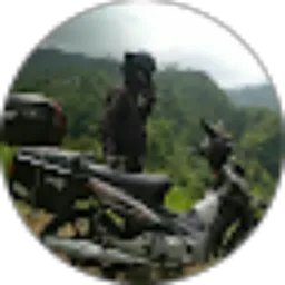 Review From Red One