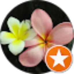 Review From Mutia Sibagariang