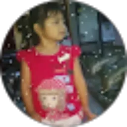 Review From Soprianto Ardi