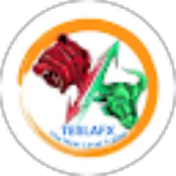 Review From TESLAFX Official