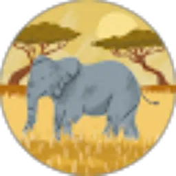 Review From AMIRULLAH