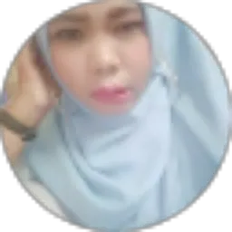 Review From Lisa Lis