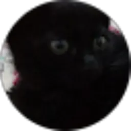 Review From Princess Fadilah