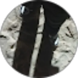 Review From Aghni Aghni