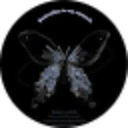 Review From Valencia C. P.