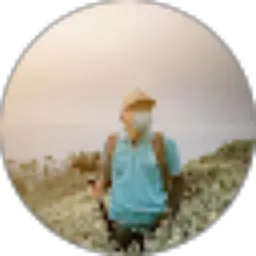 Review From Dian Widyanto