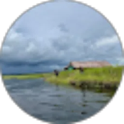 Review From Sinar Surya