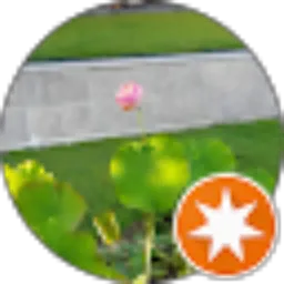 Review From Customer Relations