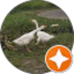 Review From Anda Itu siapa