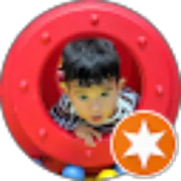 Review From Roy Dwi Putra Halim