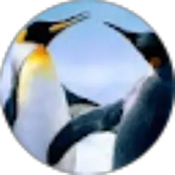 Review From diah maniez