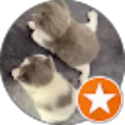 Review From Days Vidya