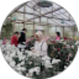 Review From Sity Asriyanti Utami