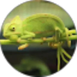 Review From Kenny Giovani