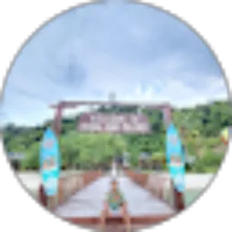 Review From Dandy Official27