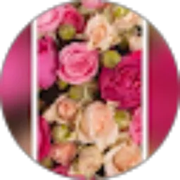 Review From Rose Dayana Belwhani